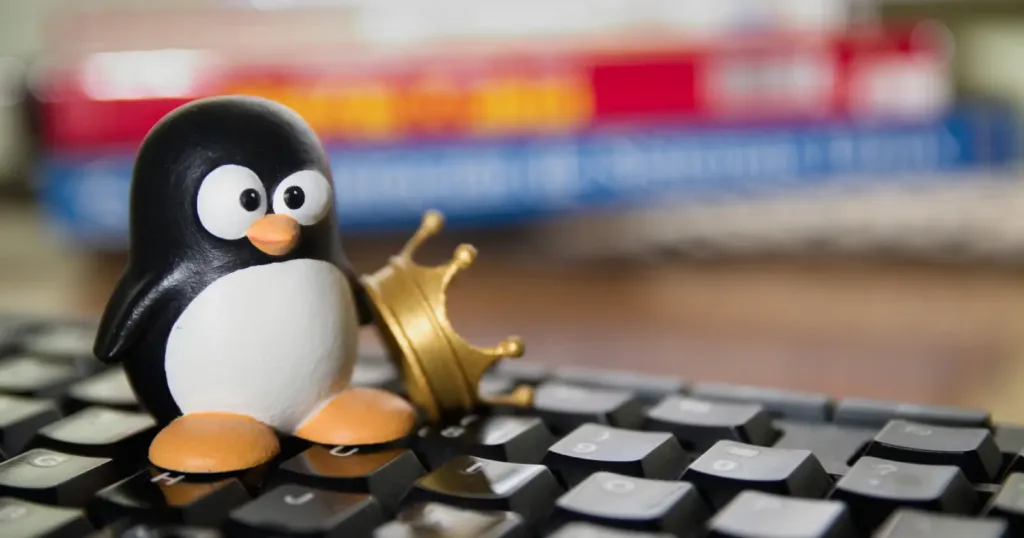 Linux'ta Windows kurulumu