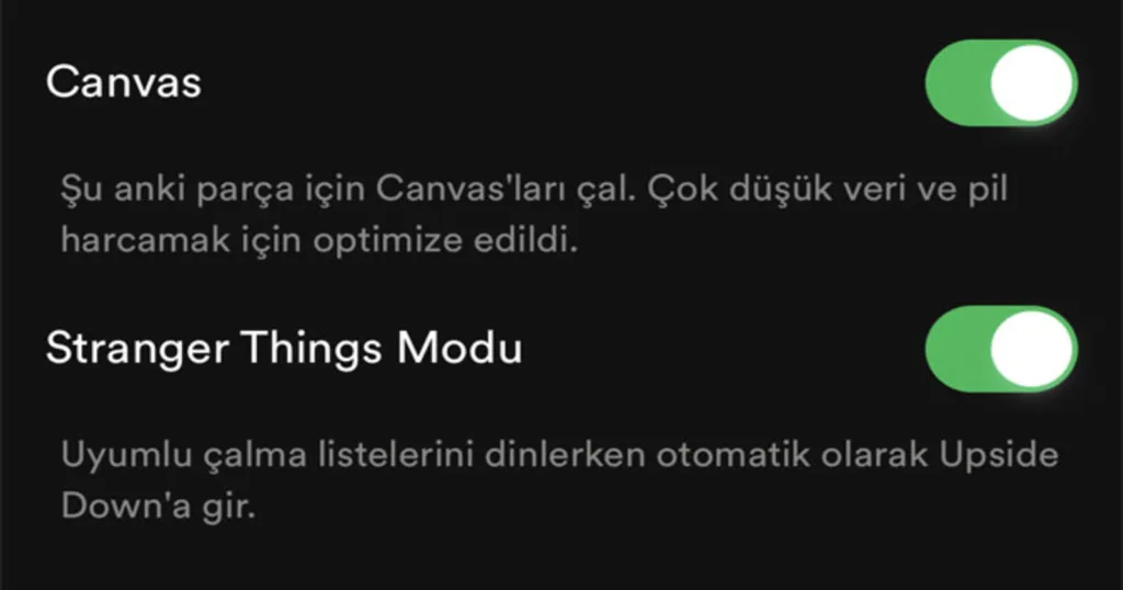 Spotify otomatik oynatma