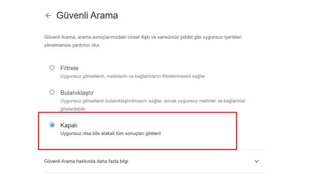 Google uygunsuz içerik filtresini kapatma! Nasıl yapılır?