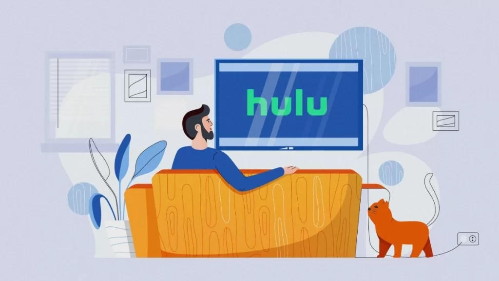Hulu nedir? Ne işe yarar?