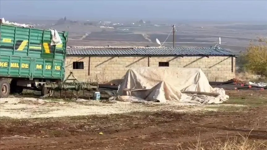 Ahır gibi gösterilen yapıda kaçak kripto para madeni ortaya çıkarıldı