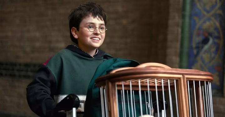 Harry Potter dizisi için ilk fragman yayınlandı